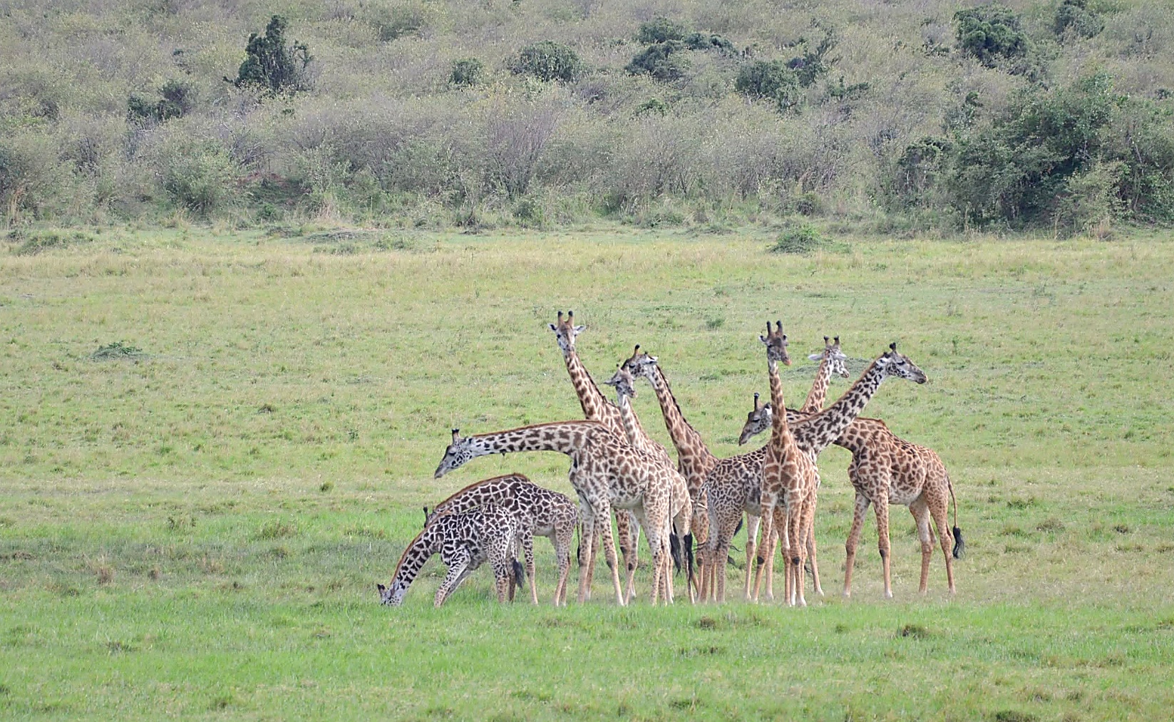 Tanzania