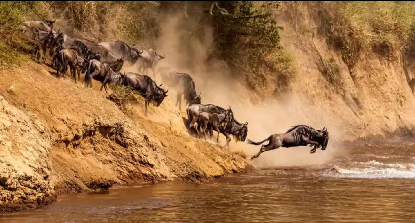 Kenya, signature landscape