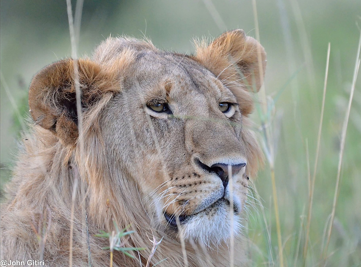 Queen Elizabeth National Park
